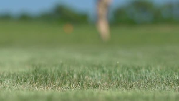 Szczęśliwy golfista podejmowania strzał i oddanie piłkę do otworu, sukces, zwycięstwo, zbliżenie — Wideo stockowe