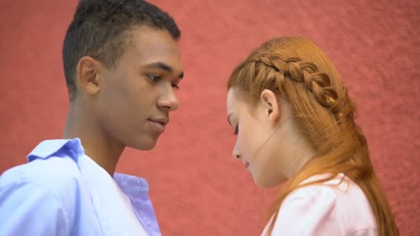 Mixed-race novio tiernamente celebración novias barbilla, momento del primer beso — Vídeos de Stock