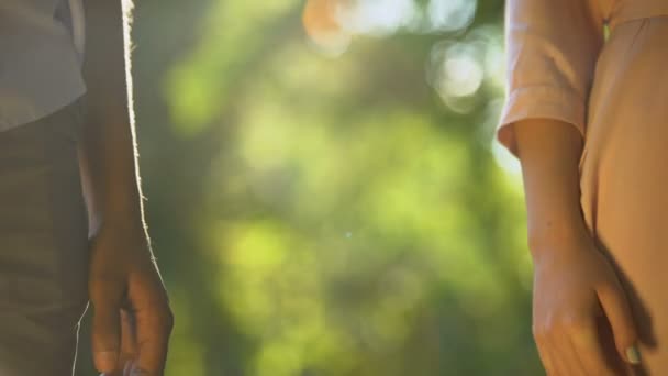 Casal multirracial de mãos dadas no parque ensolarado, romântico e intimidade, close-up — Vídeo de Stock