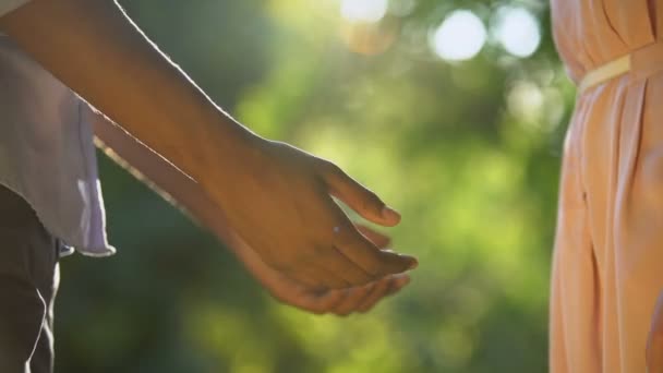 Primer plano de los amantes de las razas mixtas tomados de la mano en el parque, relación romántica — Vídeos de Stock