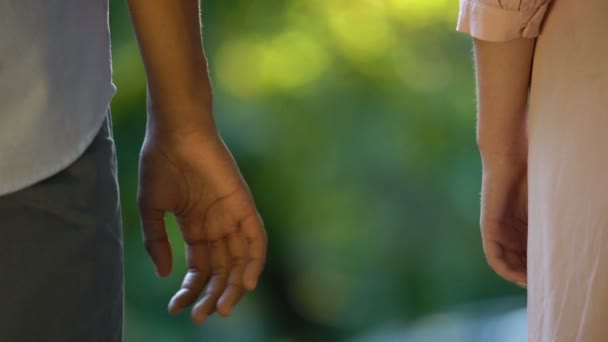 Вид ззаду на багатоетнічну пару, що тримає руки в парку, ніжні романтичні почуття — стокове відео