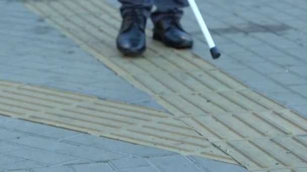 Homme aveugle avec canne blanche se déplaçant ville sur chaussée tactile, infrastructure — Video