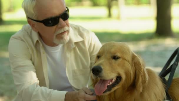 Слепой владелец кормит и ласкает свою собаку-поводыря, лучшего друга и помощника — стоковое видео
