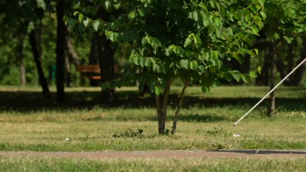 Fille ramasser les clés tombées et le rendre à l'aveugle, gentillesse, miséricorde — Video