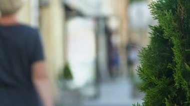 Foto muhabiri sokakta yürüyen ünlülerin gizli fotoğraflarını çekiyor, özel haberler