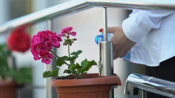 Женщина полива растений в цветочный горшок из пластиковой бутылки, охрана природы, хобби — стоковое видео