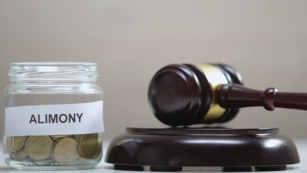 Alimony jar with coins, judge striking gavel once, family court, child custody — Stock Video