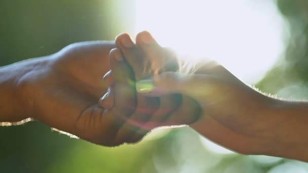 Mužská afro-americká ruka jemně drží ženskou paži, milující smíšený pár — Stock video