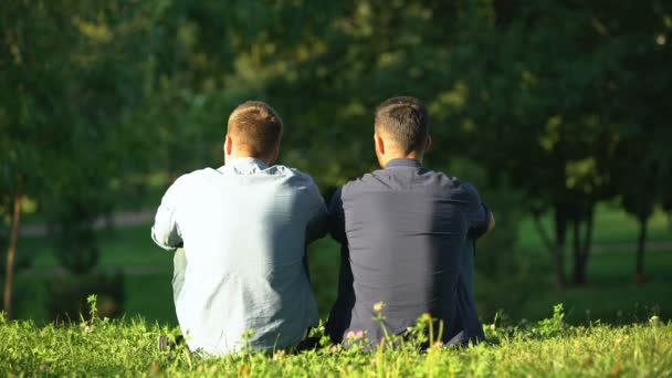 Vista posteriore degli uomini che parlano e si rilassano al parco soleggiato, tempo libero con l'amico — Video Stock