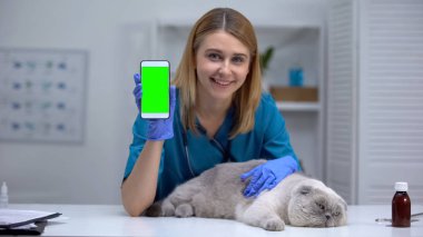 Akıllı telefon gösteren tembel kedi ile Gülümseyen veteriner, evcil hayvan sağlık checkup kayıt online