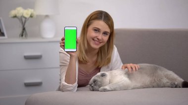 Akıllı telefon tutan kedi ile Neşeli kız, hayvan hayır sitesi için yeşil ekran