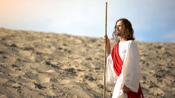 Gott Der Wildnis Mit Blick Auf Die Erschaffene Erde Und — Stockfoto