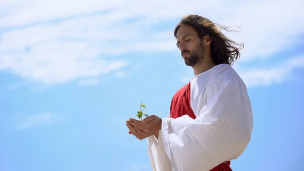 Hombre Como Jesús Sosteniendo Brotar Contra Cielo Historia Bíblica Creación — Foto de Stock