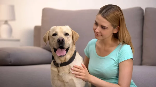 Female Dog Owner Admiring Labrador Retriever Home Animal Human Friendship — Stock Photo, Image