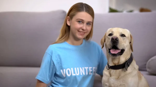 Female Volunteer Sitting Cute Homeless Labrador Dog Social Adoption Program — Stock Photo, Image