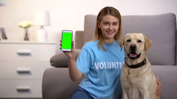 Tierhelferin Mit Lustigem Labrador Hund Zeigt Green Screen Handy Charity — Stockfoto