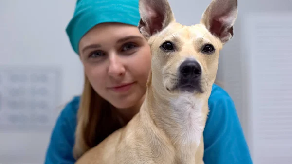 Leende Vet Läkare Med Rolig Hund Poserar Kamera Professionell Sällskapsdjur — Stockfoto