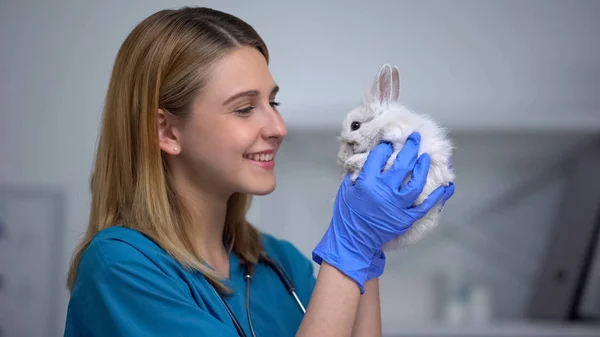 Young Female Vet Playing Bunny Care Love Patient Animal Hospital — Stock Photo, Image