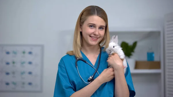 Veterinário Feminino Alegre Segurando Coelho Exame Saúde Animal Estimação Oportuna — Fotografia de Stock