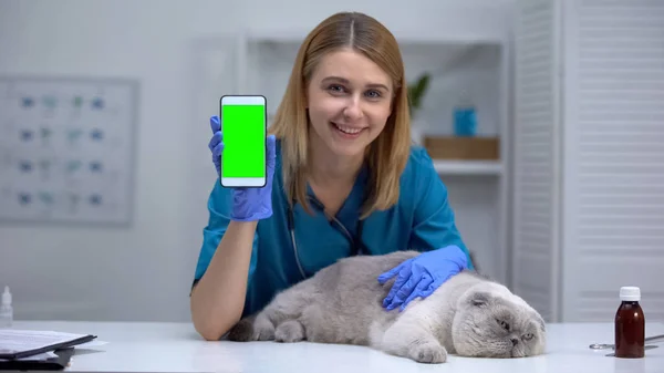 Lächelnder Tierarzt Mit Fauler Katze Zeigt Smartphone Tiergesundheitsuntersuchung Online — Stockfoto