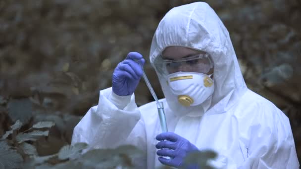 Chimiste analysant la zone d'aliénation de l'échantillon d'eau infectée, forêt radioactive — Video