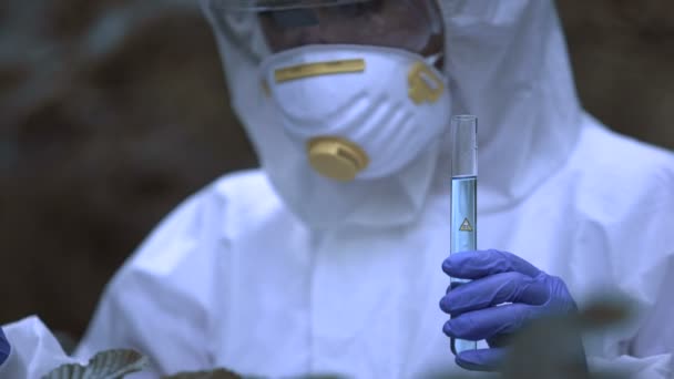 Bióloga femenina examinando reacción hídrica infectada, flora afectada por radiación — Vídeo de stock