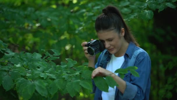 Fotógrafa tomando fotos de hojas de árboles verdes en el parque, hobby naturalista — Vídeo de stock