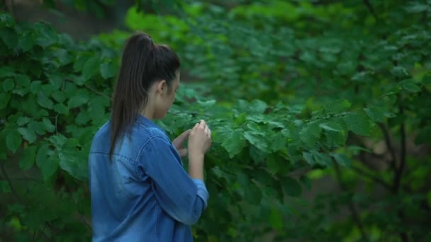 Mulher cuidadosa examinando folhas de árvores infectadas, lixo de plástico no chão — Vídeo de Stock