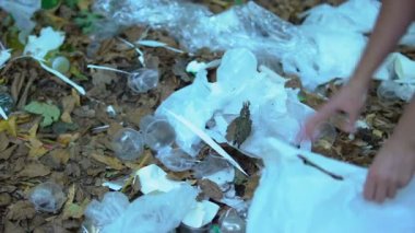 Ormanı temizleyen plastik torba içinde çöp toplayan bir kadın, ekoloji projesi