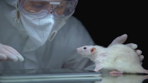 Científico viendo reacción de la rata después del experimento, llenando los datos en el informe en línea — Vídeos de Stock