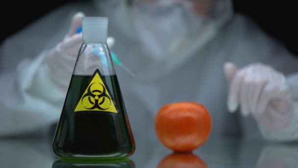 Vědec injekčně biohazard v rajčatech, toxin vliv na živé organismy studium — Stock video