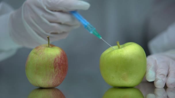 Scientist injecting liquid in apple, showing rotten one, breeding new sort — Stock Video