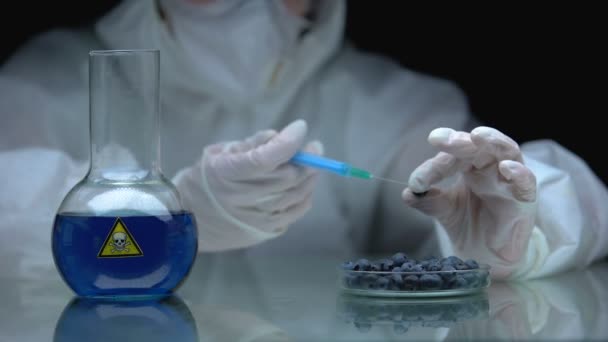 Biolog wstrzykujący truciznę do jagód, wpływ toksyny na badania nad ekologią — Wideo stockowe