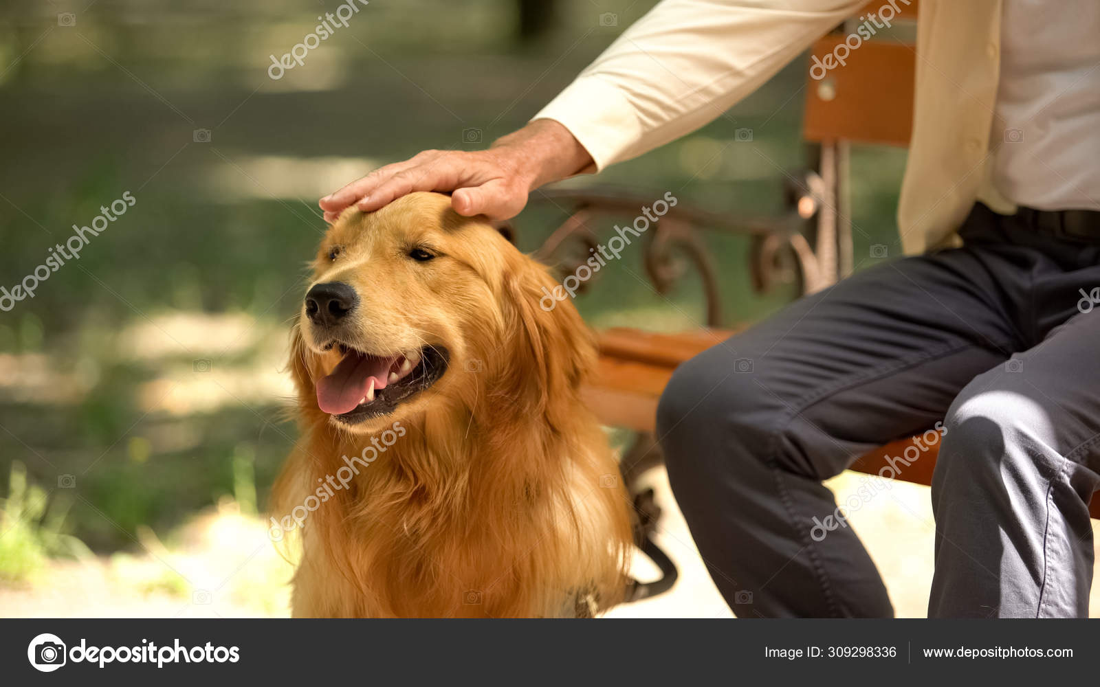 Obedience Training Dog Obedience Guy Best Dogs For Obedience