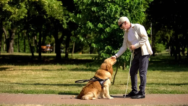 Blind Man Training Guide Dog Park Giving Obedience Commands Impairment — Stock Photo, Image