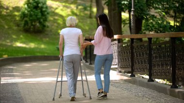 Volunteer walking with elderly woman using walker in hospital park, disability clipart