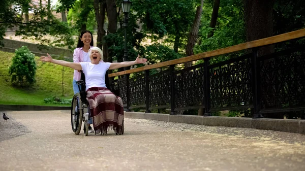 Asian Woman Pushing Excited Mature Lady Wheelchair Happy Aged Patient — Stock Photo, Image