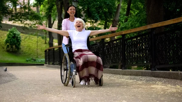 Happy Volunteer Pushing Wheelchair Positive Old Lady Joyful Female Patient — Stock Photo, Image