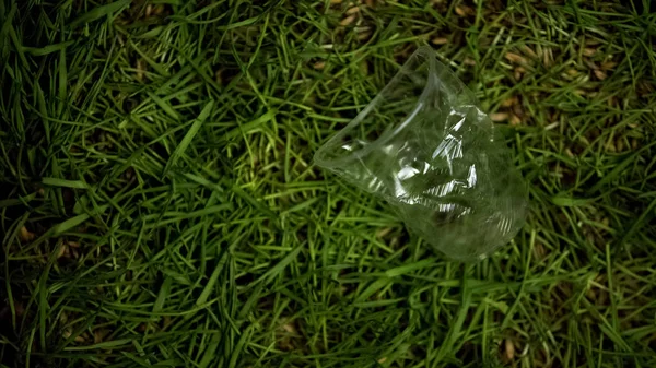 Смятый Пластиковый Стакан Брошенный Газоне Проблема Загрязнения Окружающей Среды Переработка — стоковое фото