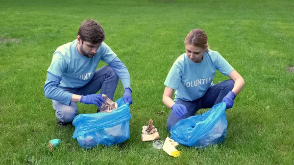 Voluntários Masculinos Femininos Coletando Lixo Sacos Limpando Floresta Ecologia — Fotografia de Stock