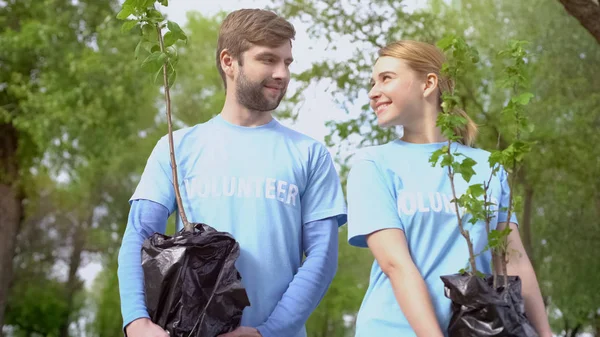 Couple Volontaire Tenant Des Arbres Plantés Regardant Ensemble — Photo