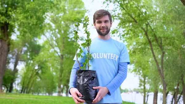 Gülümseyen Erkek Gönüllü Ormanda Duran Yeşil Ağaç Fidanı Tutan Eko — Stok fotoğraf