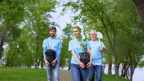 Verantwoordelijke Eco Activisten Walking Park Pad Houden Groene Boom Jonge — Stockfoto
