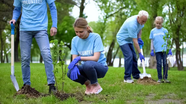 Gönüllüler Parkta Ağaç Fidanı Dikmek Doğal Kaynakların Korunması Bakım — Stok fotoğraf