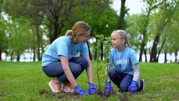 Anya Lánya Telepítési Tress Parkban Együtt Öko Önkéntes Munka Földápolás — Stock Fotó