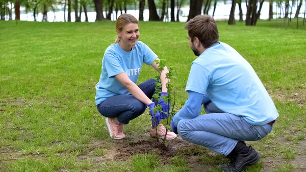 Jóvenes Voluntarios Voluntarias Plantando Arbustos Parque Sonriéndose Mutuamente — Foto de Stock
