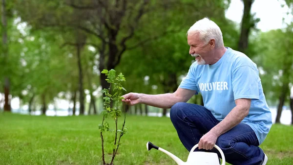 Parque Plantas Verdes Riego Masculino Maduro Eco Voluntario Responsable Reforestación — Foto de Stock