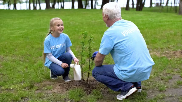 Rega Voluntária Menina Pode Ajudar Avô Planta Árvore Sorrindo Uns Fotografias De Stock Royalty-Free