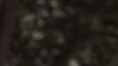 Koruyucu giysiler içinde kameraya dönen kişi, bulaşıcı hastalık salgını