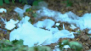 Ormanda plastik çöpleri toplayan gönüllü, doğayla ve ekolojiyle ilgilenen.